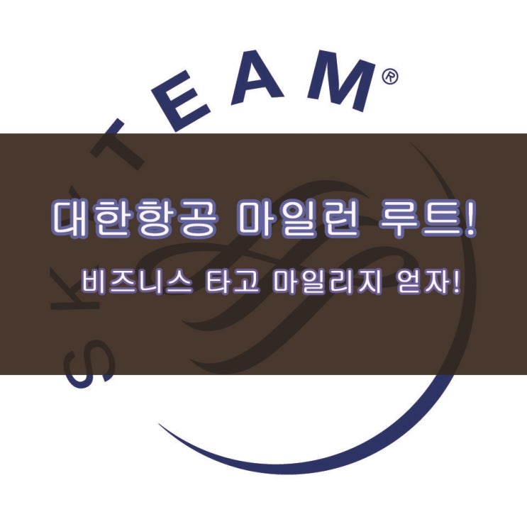 [Skyteam] 대한항공 마일런 대박 루트!! - 스카이팀 마일런 / 비즈니스 타고 티어런 마일리지 얻기! : 네이버 블로그
