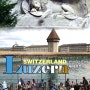 스위스 한달살기, 루체른호수와 빈사의 사자상,리기산