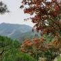 곤지암 화담숲 단풍이 물들기 시작한 10월 첫주에 다녀왔어요. 화담숲 산책길 정보 및 주말 예약 정보