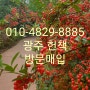 광주 중고책/광주 헌책