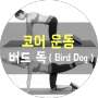 버드 독 ( Bird Dog ) , 코어 운동 동작 추천