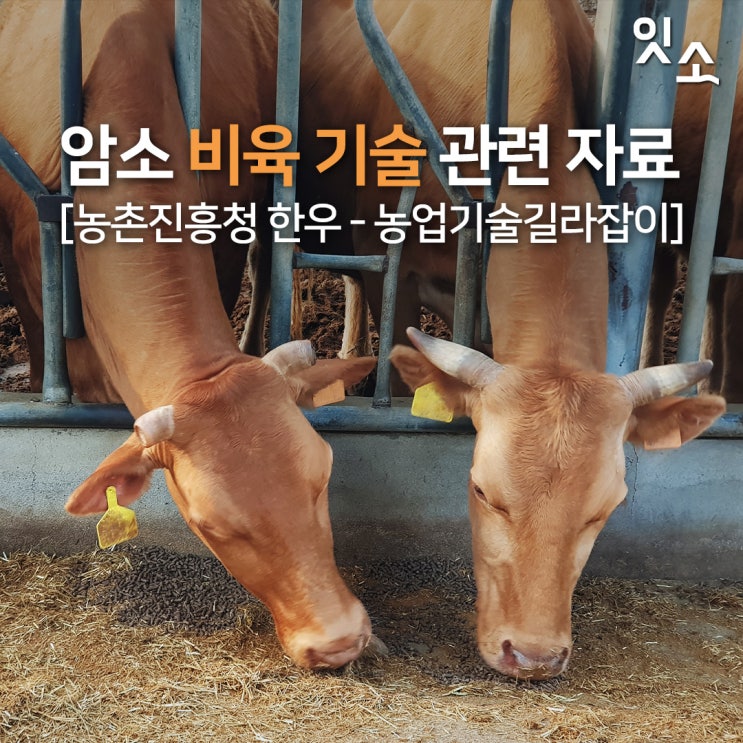 한우 암소비육 기술 관련 자료 [농촌진흥청 - 한우 농업기술길라잡이] : 네이버 블로그