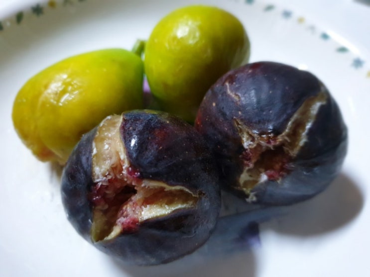 97. 하바구무화과 - 흑무화과 (Punch Berry Figs) / 아드리아 무화과 (Adriatic Figs) : 네이버 블로그