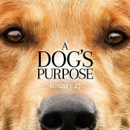 영화 / 베일리 어게인 :: A Dog's Purpose