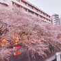 [여행] 4월 도쿄여행 첫째날[나카메구로공원/호텔캡슐/하라주쿠]