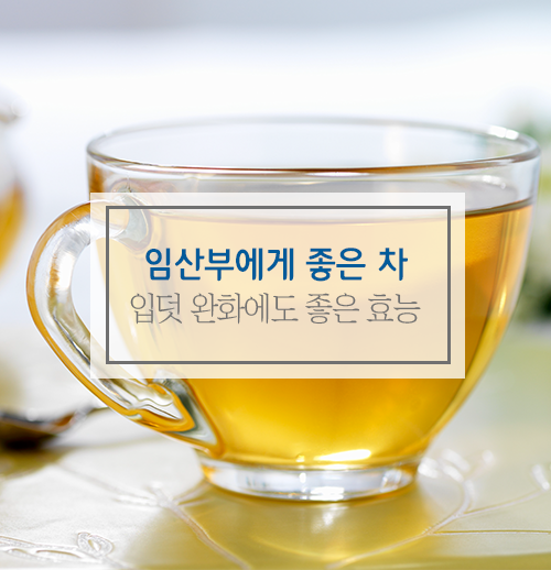임산부에게 좋은 차, 임신 중 좋은 차 추천! : 네이버 블로그
