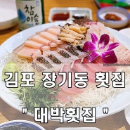 김포 장기동 횟집 - 가족모임 코스정식 추천 '대박횟집'