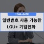 일반번호/시내번호 사용까지 가능한 LGU+ 사무실전화