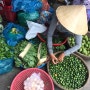[베트남 호이안] 로컬 마켓 투어 Ba Le Market Chợ Bà Lê/ Bale local Market