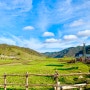 바오지 관산목장关山牧场 둘쨋날 말타기와 중국 패키지관광