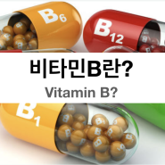 비타민B는 무엇인가? (역할, 종류, 권장섭취량, 식품, 효능, 결핍증상, 과잉섭취부작용)