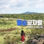 제주도 화순 곶자왈 (feat. 음메..)