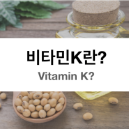 비타민K 는 무엇인가? (역할, 섭취주의점, 효능, 결핍증상, 과잉섭취부작용)