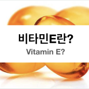 비타민E 는 무엇인가? (역할, 섭취주의점, 효능, 결핍증상, 과잉섭취부작용)