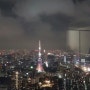 도쿄야경 도쿄타워가 보이는 "록본기 힐즈 타운"