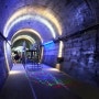 5가지 맛의 나라 - 문경 오미자테마 터널