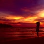 코타키나발루 자유여행 10. 넷째 날 뚜아이 해변에서 환상적인 선셋과 맹글로브 숲에서 반짝반짝 반딧불 보고 왔어요!:D