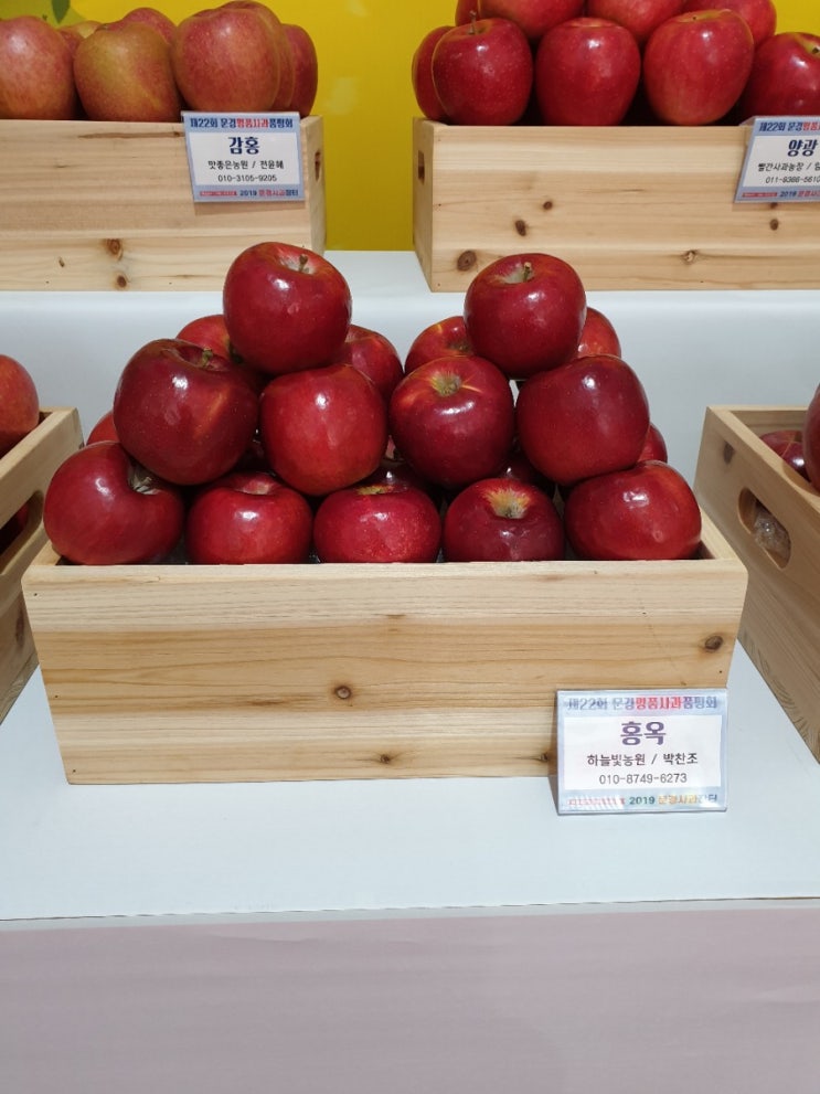 꿀홍이사과 홍옥사과 판매는... : 네이버 블로그