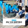 고성여행 :: 경남 고성 공룡박물관 / 아이랑 다녀오기 좋아요! ☆근처 식당없음 주의☆