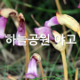 [억새 기생식물 야고 이야기] 하늘공원에서 야고와 억새, 핑크뮬리, 댑싸리 만나다