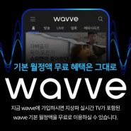 WAVVE, SKT/Oksusu 회원 이전하여 사용하기 #웨이브