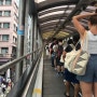 [홍콩] 미드레벨에스컬레이터 中環半山扶手電梯