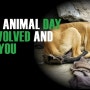 동물보호를 위한 세계 동물의 날은 천사데이(10월 4일)