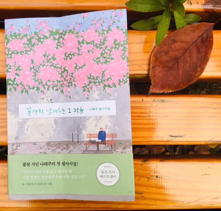 나태주 풀꽃 시인의 첫 필사시집 끝까지 남겨두는 그 마음 : 네이버 블로그