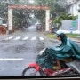 베트남 다낭 12월 11월 날씨는 용이 승천함