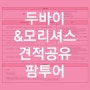 [팜투어] 두바이/모리셔스 견적공유(허니문)