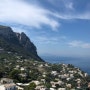 서유럽패키지 서유럽여행 유럽여행 8일차 ♡ 이탈리아 폼페이 쏘렌토 카프리섬 나폴리 남부이탈리아