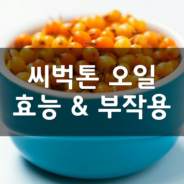 씨벅톤 오일 (Sea buckthorn oil, 산자나무 오일) 효능, 부작용, 권장량, 제품 순위 : 네이버 블로그