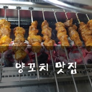 양꼬치 맛집 김해 새봄
