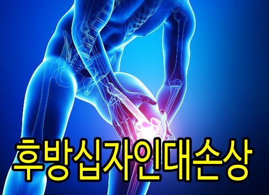 후방십자인대 손상 파열 재활 운동 프로토콜 네이버 블로그