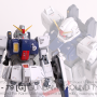 IDPJT 10 Years After No.2 HGUC RX-79[G]