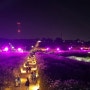 서울 하늘공원 밤에도 너무 이쁘네~