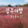 경주여행 - 1박2일 일정 총정리!, 핑크뮬리, 대릉원, 첨성대, 동궁과월지(안압지)