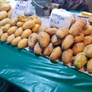[코타키나발루] 코타키나발루 여행지 추천 #필리피노마켓 과일 저렴한 곳