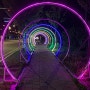 평택 야경 명소 평택 국제 여객 터미널 불빛 조형물 경관 조명 무료로 관람 하기 LIGHT ART