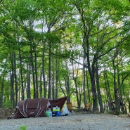 덕유산국립공원 덕유대야영지 - 3영지 26번 사이트 / 코베아 와우빅돔3 간단후기