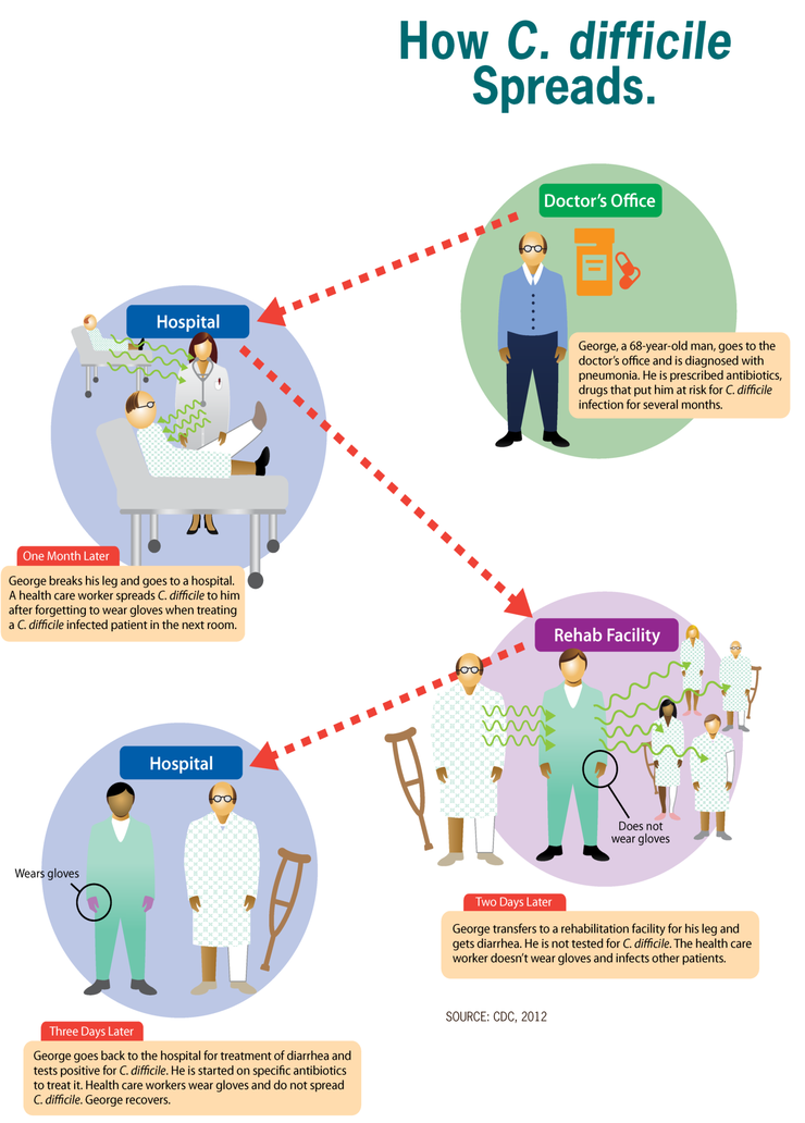 How C. difficile spreads & Clostridium difficile infection 클로스트리듐 디피실레 ...