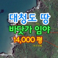 대청도 바닷가 임야 47,200㎡ (14,300평) / 섬 싼땅 대청도 부동산 투자 추천
