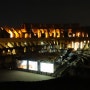 콜로세움 위의 달 Luna sul Colosseo - 로마 콜로세움 야경보러 야간개장 다녀온 후기