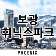 보광 휘닉스파크회원권 가격 시세 급매 겨울 스키 콘도회원권 추천 phoenix 평창 제주