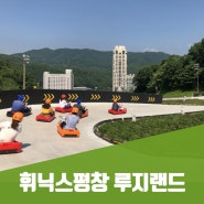 휘닉스평창 루지랜드