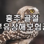 흉추골절 후유장해보험금