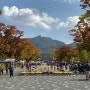 서울 가을나들이 명소