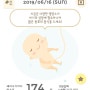 〔탄탄이♥〕 임신 15주차 (4개월) 증상 : 첫 태동을 느끼다 '0'