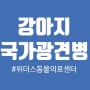 강아지 국가광견병