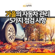 가을의 자동차 관리, 5가지 점검 사항